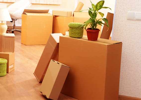 Packaging & Moving Image